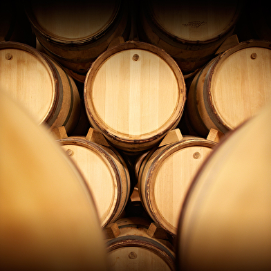 Olivier Leflaive - Les visites