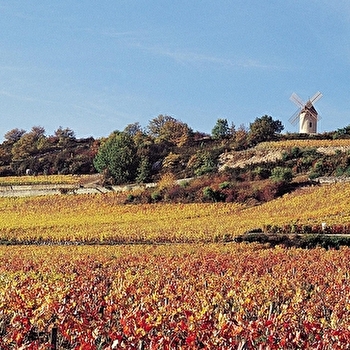 Circuit de Saint-Antoine par la voie romaine - CORMOT-VAUCHIGNON