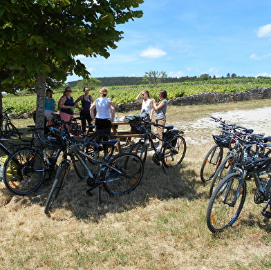 Vélovitamine - livraison vélo /dépôt canal