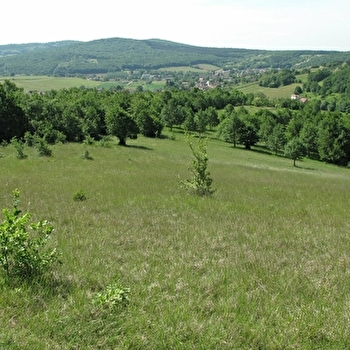 La Boucherette - LUGNY