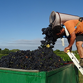 Fortune Patrice - CRECHES-SUR-SAONE