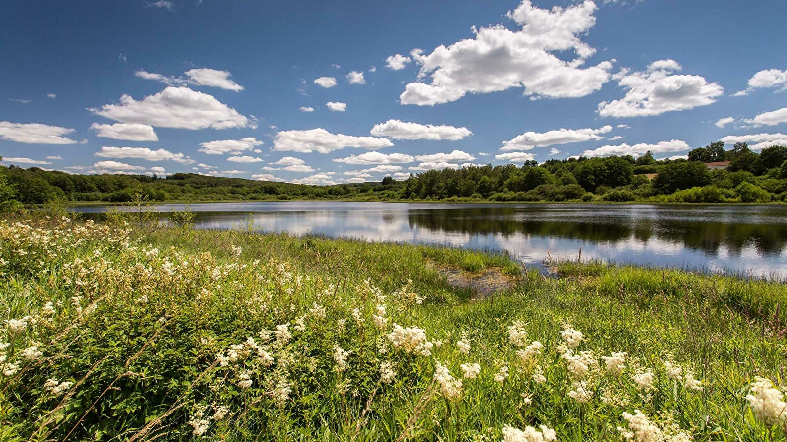 Sentier de découverte de l'étang Taureau