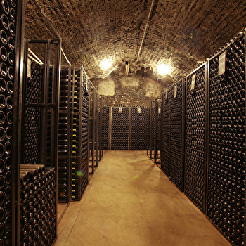 Formules dégustations de la Maison Tramier - MERCUREY