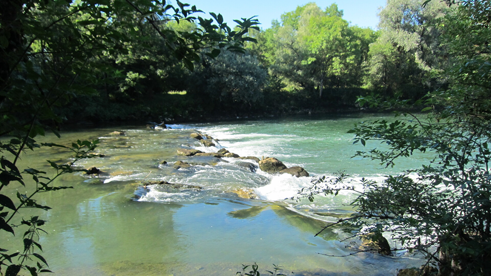 Zone humide de Chissey-sur-Loue