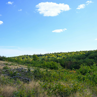 Le chemin des Vallées