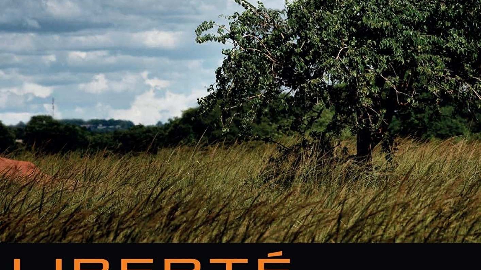 Cycle de lecture à voix haute - Printemps des poètes à Saulieu