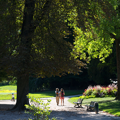 Aquarelle et botanique