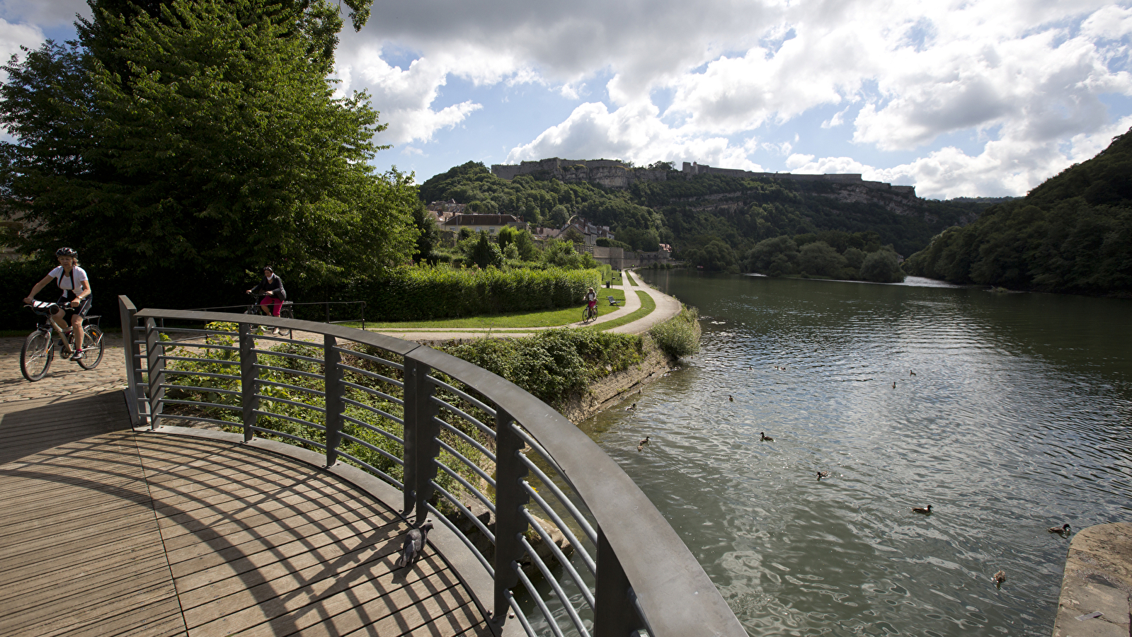 La Biodiversité au fil de la Via Francigena