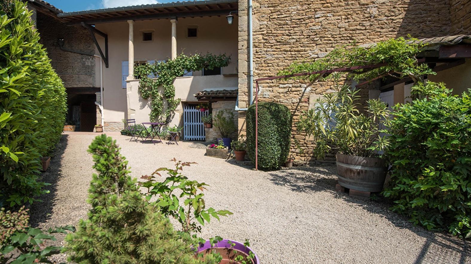 De Pierre et de Vigne