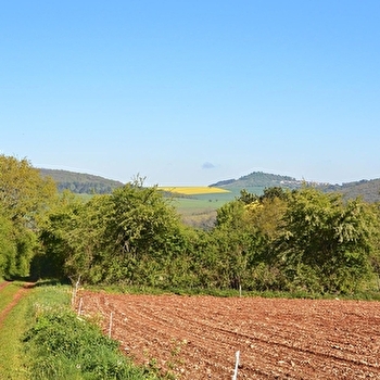 Parcours des Bois de l'Ignon - COURTIVRON