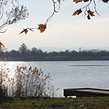 Les Etangs d'Or - Parc Eco Loisirs de Merceuil Tailly - MERCEUIL TAILLY