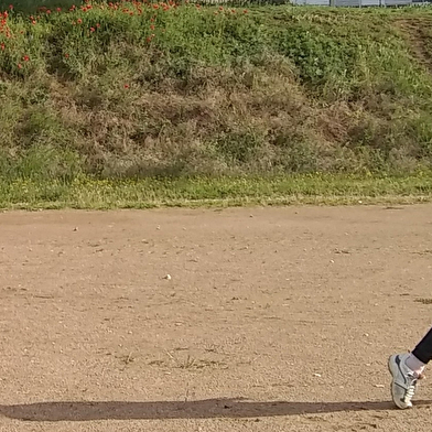 Association BEVIA - Qi Gong