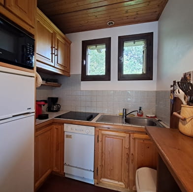 Appartement - chalet l'Igloo - P611GAME0