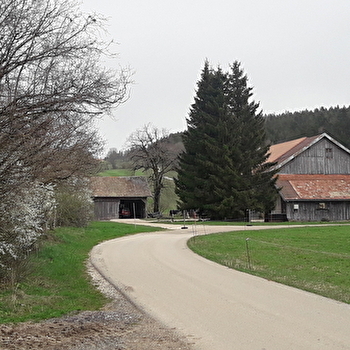 La Joux Verte - VERRIERES-DE-JOUX