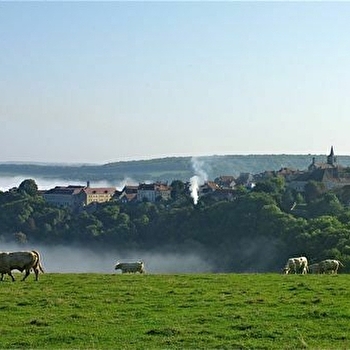 Maison de vigneron - Jean-Luc Tahon - FLAVIGNY-SUR-OZERAIN