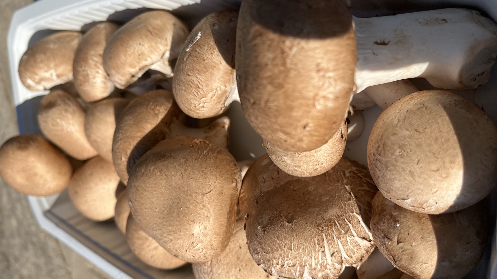 O'Saveurs de la nature