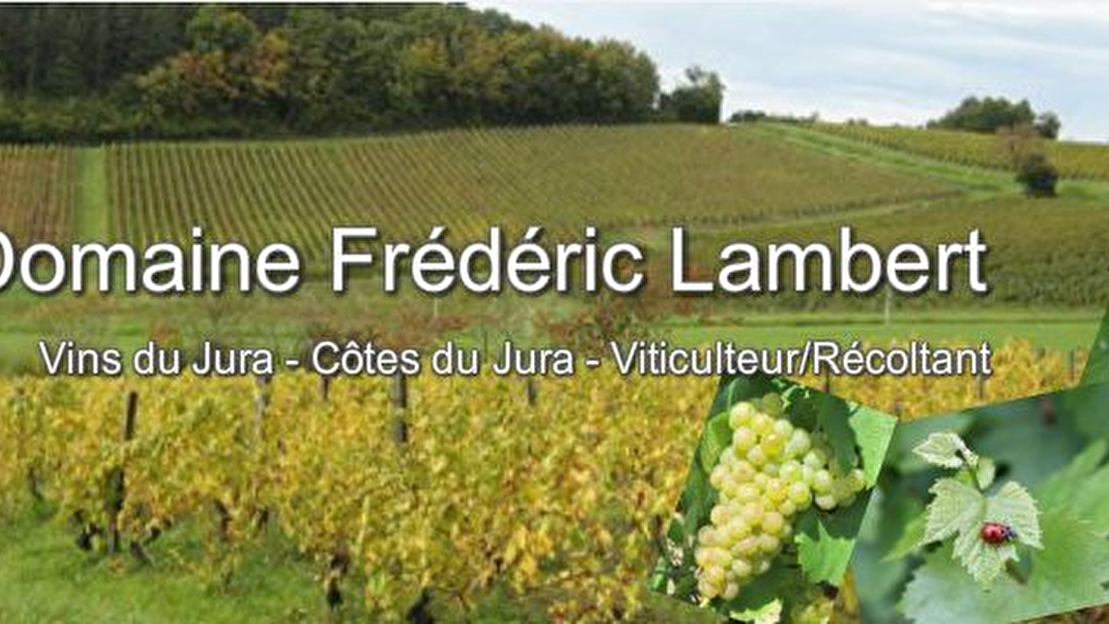 Domaine Frédéric Lambert