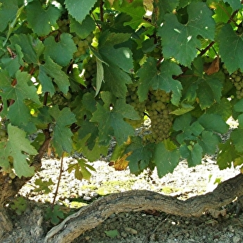 Fournillon - BERNOUIL