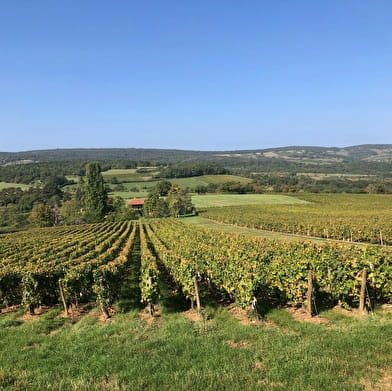 Gîte de la Grange Saint Pierre