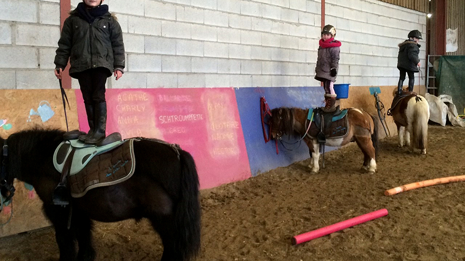L'écurie des p'tits bouts