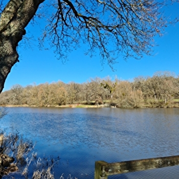 Etang de la Perchette - VITRY-LACHE