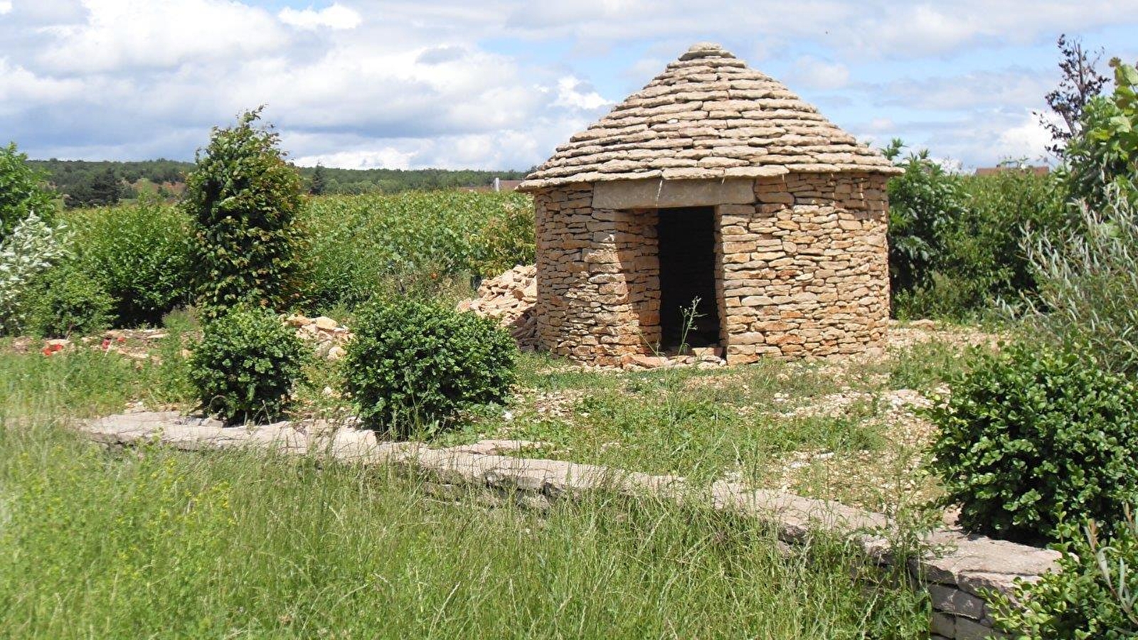 Aire de pique-nique de Serrigny