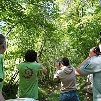Découvrez le Parc national de forêts - LEUGLAY
