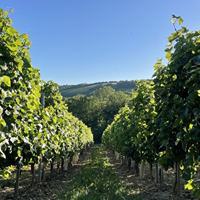 Via Columbani entre Couches et Autun 