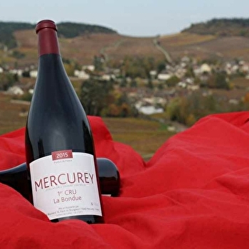 Jobard Bourland - MERCUREY