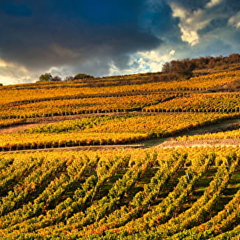 Aire de pique-nique du Plan d'Eau - SAINT-JEAN-DE-TREZY