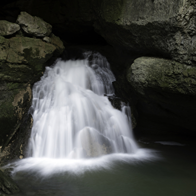 Aiguillons de Brasse