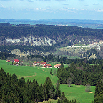 Le Stratégique - LES FOURGS