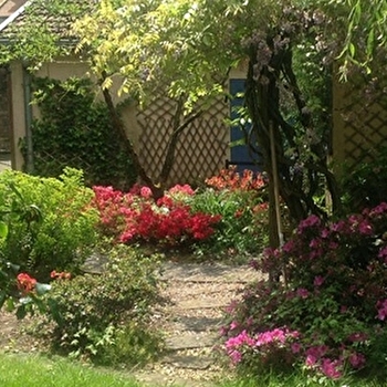 Meublé Zen - LUXEUIL-LES-BAINS