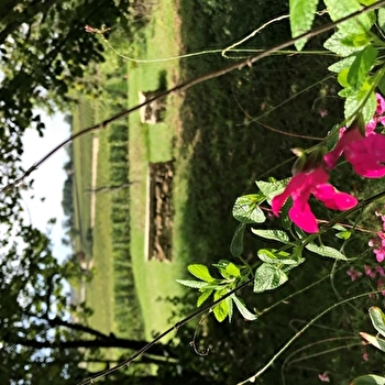 Les Ateliers Vins & Parfums - MEURSAULT