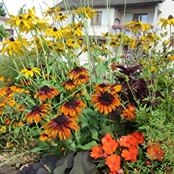 CHATENOY-LE-ROYAL - CHATENOY-LE-ROYAL