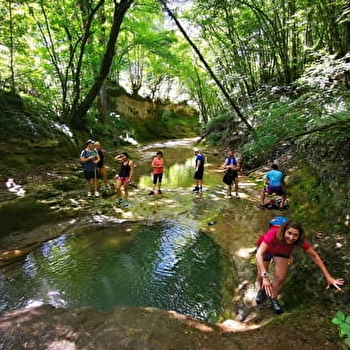 Trail Aventures - LES PREMIERS SAPINS