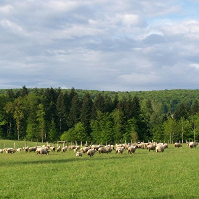 Ferme du Pâquis