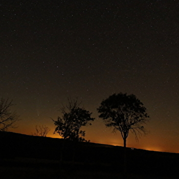 Au cœur de la nuit : la faune de Savilly - SAVILLY