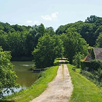 Manoir de Thiot - SAUVIGNY-LES-BOIS