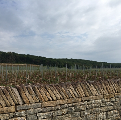 Domaine d'Aubigny