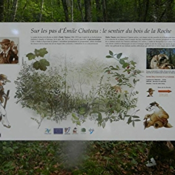 Le Bois de la Roche - SALORNAY-SUR-GUYE