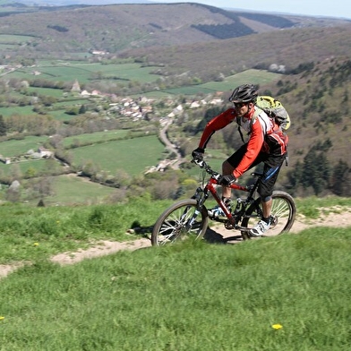 Vélovitamine - livraison vélo /dépôt canal