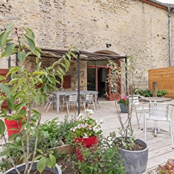 Millepertuis - DARCEY