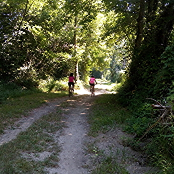 Sentier vélo : de Marcilleux à St-Sorlin-en-Bugey - SAINT-VULBAS