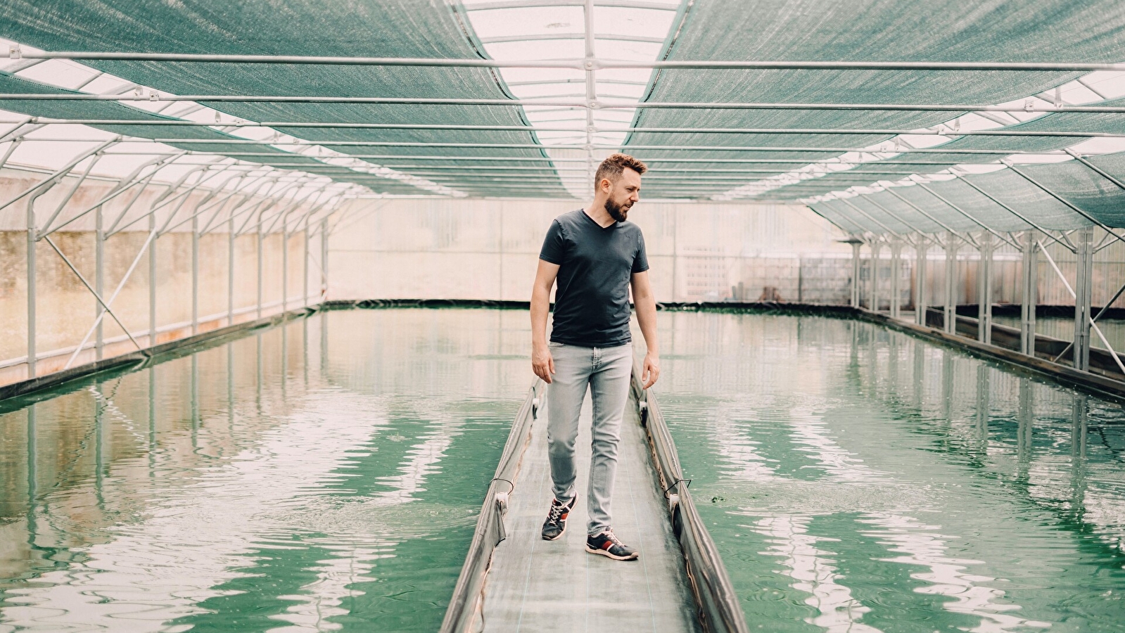 Les Bassins Fermiers 