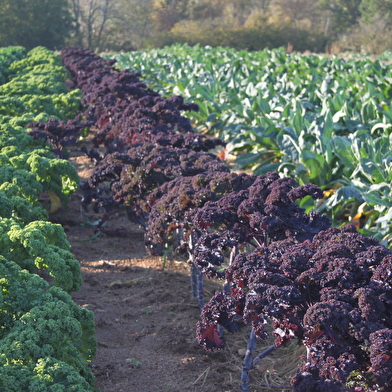 GAEC La Mauvaise Graine