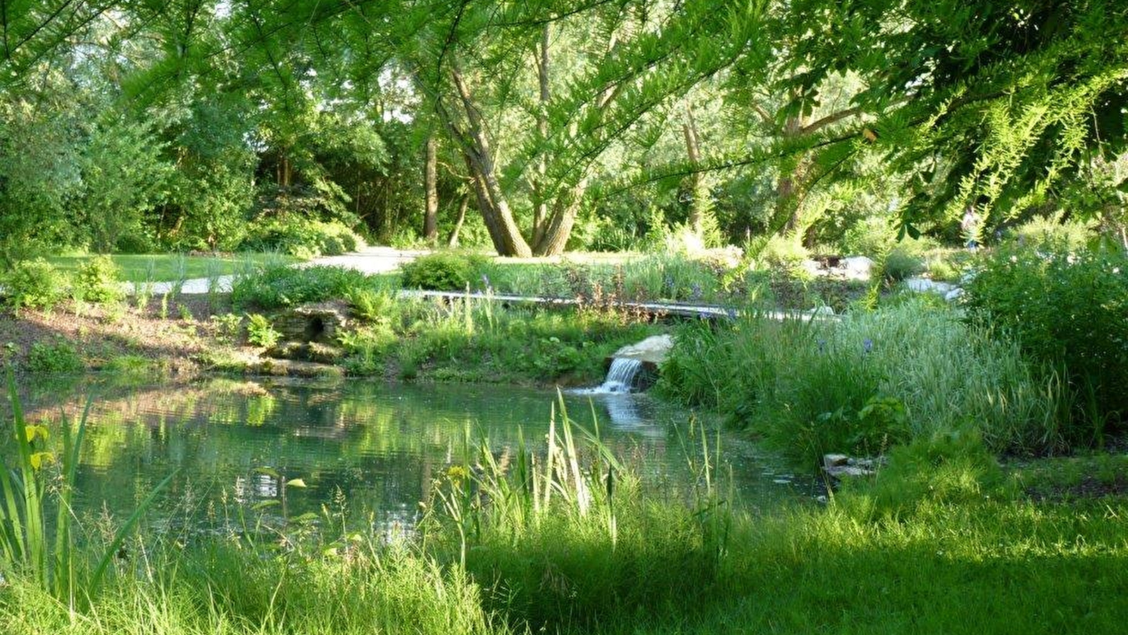 Aire de pique-nique du Parc Saint-Jacques ou Etang Duthu