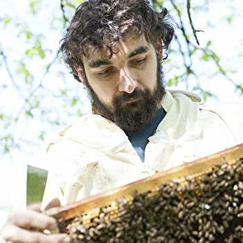 Marc Robin - apiculteur - MONTAGNA-LE-RECONDUIT