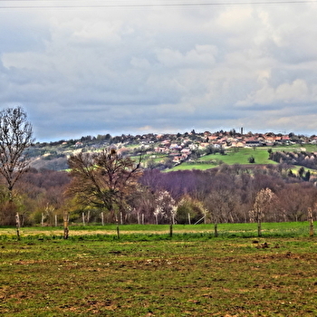 Le bois de Villars-sous-Écot et le Monument du Maquis - PONT-DE-ROIDE-VERMONDANS