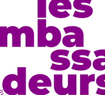 Les ambassadeurs du pass Culture s'infiltrent dans le MuséoParc Alésia - ALISE-SAINTE-REINE